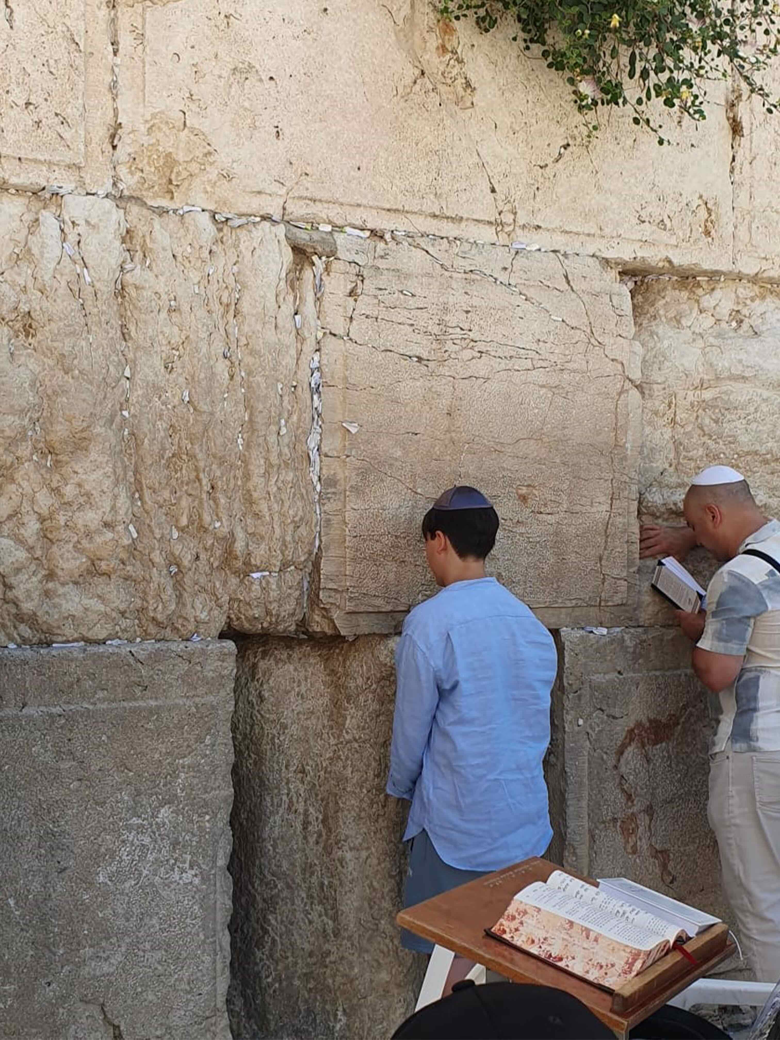 IMG-20230626-WA0009 (002)